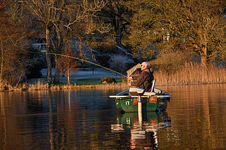 Coulam - 15 Defender