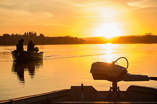 Coulam - 15 Defender