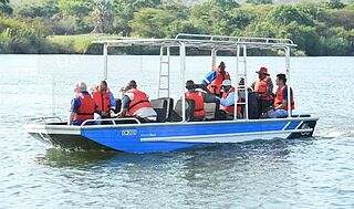 Aliboats - Swamp Cruiser 7m