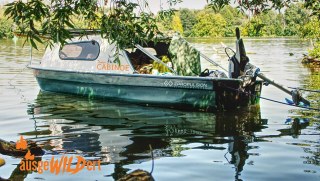 ausgeWILDert - CABINOE