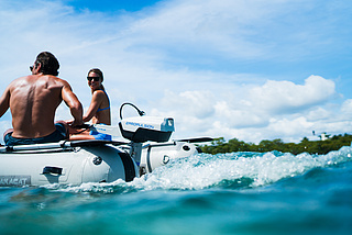 Spirit 1.0 Plus/Evo Battery 