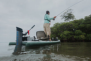 Moteur hors-bord eLite à arbre long