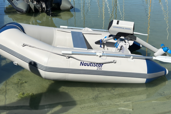 Bucher & Walt NautiStar 250