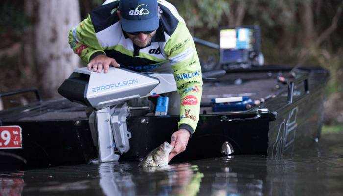 How to Fish for Bass Like a Pro
