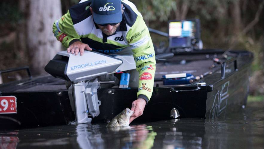 How to Fish for Bass Like a Pro