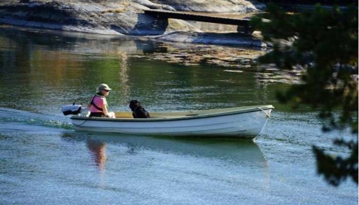 Guide des moteurs de canoë : tout ce que vous devez savoir (mises à jour 2025)